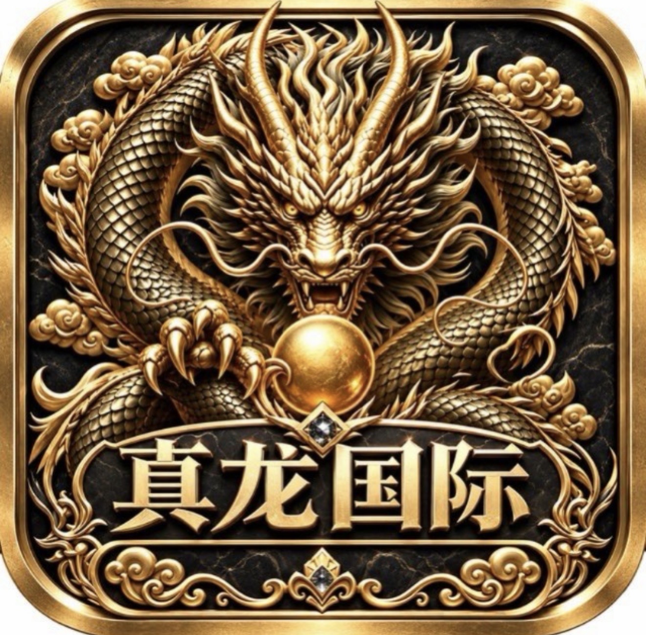 真龙国际